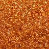 TOHO 8/0 Round Beads X-SEED-TR08-0002B-2