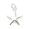 925 Sterling Silver Charms FIND-Z069-04S-A-1