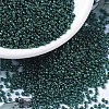 MIYUKI Round Rocailles Beads SEED-X0054-RR0338-1