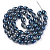 Transparent Electroplate Glass Beads Strands GLAA-T029-14-3