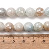 Electroplated Natural Flower Amazonite Beads Strands G-B191-A03-10mm-5