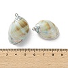 Conch Shell Pendants SSHEL-B002-06A-3