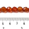 Dyed & Heated Natural Agate Beads Strands G-P539-E01-01-5