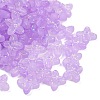 Frosted Transparent Acrylic Beads X1-OACR-P029-09B-04-1