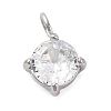 304 Stainless Steel Micro Pave Cubic Zirconia Pendants STAS-U042-02B-P-1