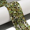 Natural Chrysoprase Beads Strands G-A097-A16-03A-5