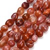 Natural Red Agate(Dyed & Heated) Beads Strands G-C287-A01-02-2