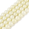 Baking Paint Glass Pearl Beads Strands DGLA-ZX001-05B-04-1