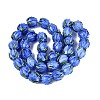 Handmade Lampwork Beads LAMP-Q039-18B-2