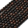 Natural Gemstone Beads Strands G-P582-8mm-01-2