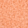 FGB Frosted Transparent Glass Seed Beads SEED-N013-04A-04-3