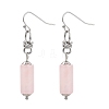 Natural Gemstone Dangle Earrings EJEW-JE04255-2