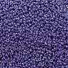 MIYUKI Round Rocailles Beads SEED-G008-RR0432-3