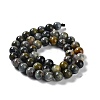 Natural Hawk's Eye Beads Strands G-E483-20-8mm-AB-3