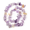 Natural Ametrine Beads Strands G-P622-A02-02-3