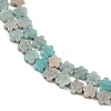 Natural Amazonite Beads Strands G-B138-C10-01-4