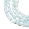 Dyed Natural Freshwater Shell Beads Strands SH-CBA2978-06C-2