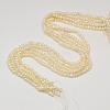 Grade B Natural Cultured Freshwater Pearl Beads Strands PEAR-L003-D-03-2