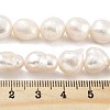 Natural Cultured Freshwater Pearl Beads Strands PEAR-P062-31C-5