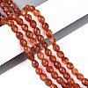 Natural Carnelian Beads Strands G-T142-84-1