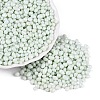 Opaque Glass Seed Beads GLAA-Q119-01-A05-1