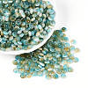 Glass Beads SEED-N007-32G-1