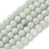 Natural Myanmar Jadeite Beads Strands G-L595-C01-01B-1