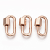 Brass Screw Carabiner Lock Charms KK-T047-08RG-1