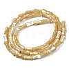 Natural Trochid Shell/Trochus Shell Beads Strands SSHEL-N034-122-A01-2