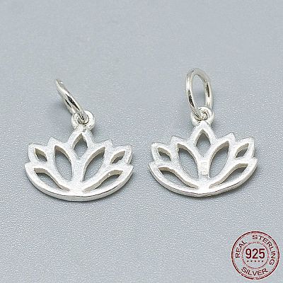 925 Sterling Silver Charms X-STER-T002-277S-1