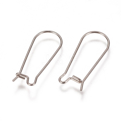 Tarnish Resistant 304 Stainless Steel Hoop Earrings Findings Kidney Ear Wires LS-STAS-L216-22B-P-1