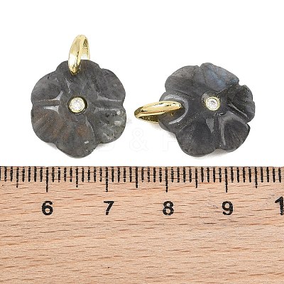 Natural Labradorite Pendants GG-NH0016-01G-09-1