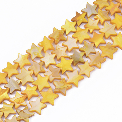 Freshwater Shell Beads Strands SHEL-S276-31-1