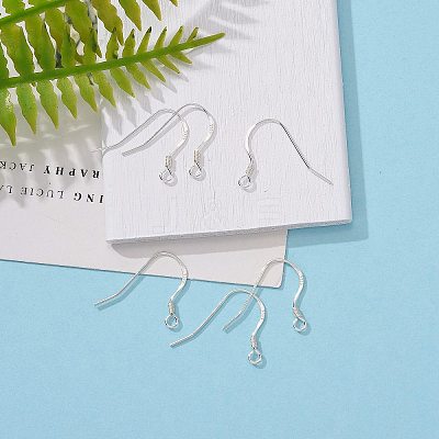 925 Sterling Silver Earring Hooks STER-K167-049C-S-1