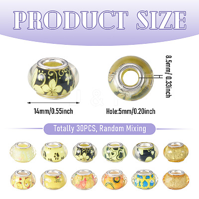 30Pcs Printed Transparent Resin European Beads RESI-TADJ0001-03B-1