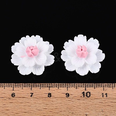 Resin Decoden Cabochons CRES-T025-04A-1