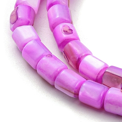 Natural Freshwater Shell Beads Strands SHEL-F008-04B-1