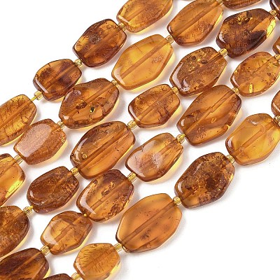 Natural Amber Beads Strands G-L095-C01-04-1