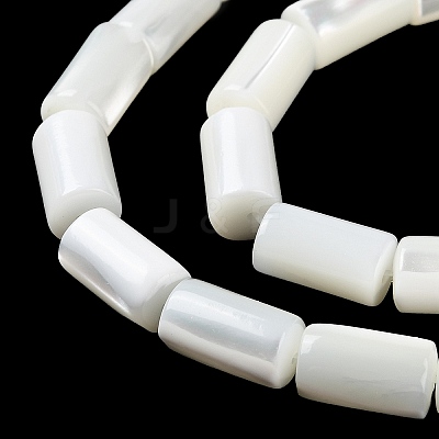 Natural Trochus Shell Beads Strands BSHE-Z003-18-1