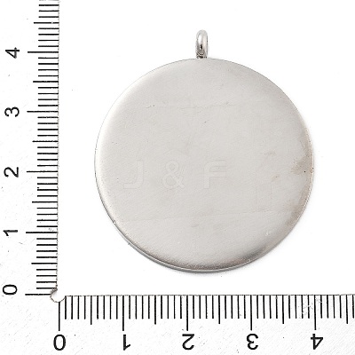 304 Stainless Steel Pendants STAS-F313-12P-1