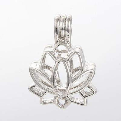 Alloy Diffuser Locket Pendants PALLOY-S062-40P-1