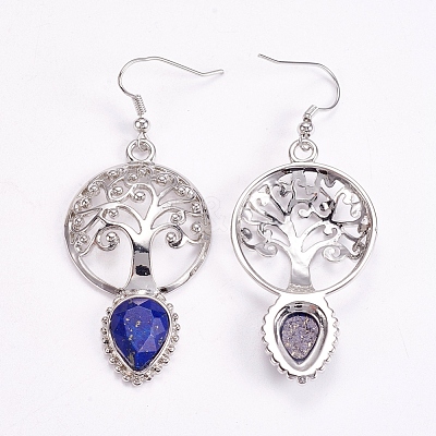 Brass Dangle Earrings EJEW-G240-B04-1