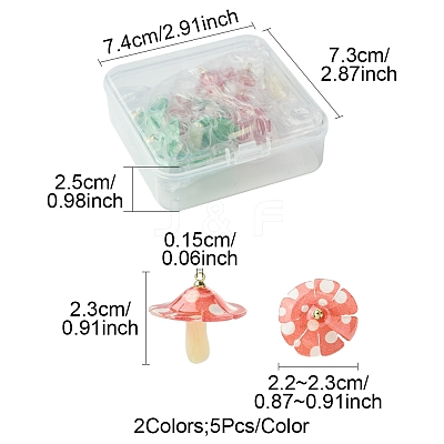 10Pcs 2 Colors Plastic Pendants KY-FS0001-34B-1