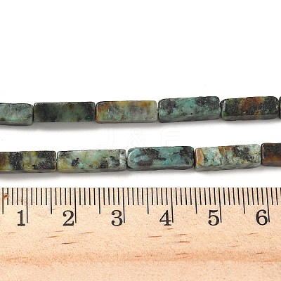 Natural African Turquoise(Jasper) Beads Strands G-G837-02-1