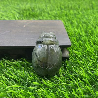 Natural Labradorite Carved Healing Ladybird Figurines PW-WG44211-19-1
