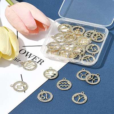 24Pcs 12 Styles Zinc Alloy Crystal Rhinestone Pendants FIND-FS0004-40-1