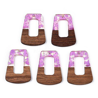 Transparent Resin & Walnut Wood Pendants RESI-N039-65A-1