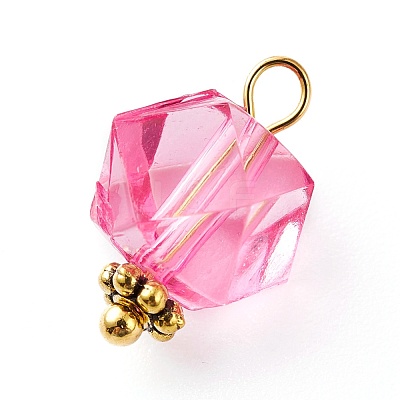 Transparent Acrylic Pendants PALLOY-JF00752-1