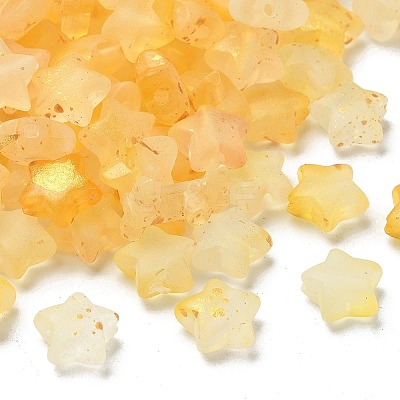 Frosted Acrylic Charms OACR-M023-04K-1