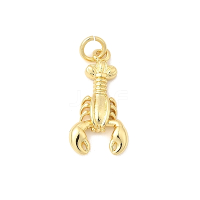 Brass Pendants KK-I364-06G-04-1